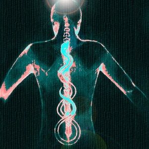 Meet your Posher, Deb